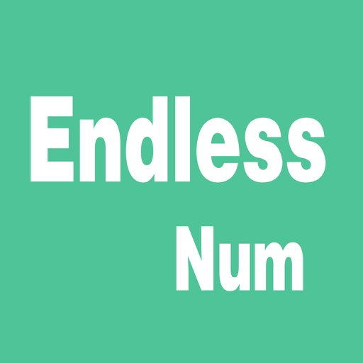 Endless Num