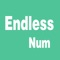 Endless Num