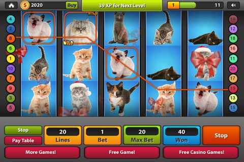 Cutest Animals Million Dollars Slot: Hit it BIG screenshot 4