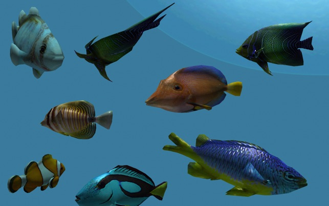 Fishy3D Tropical Fish Aquarium