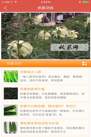 中国秋葵网 screenshot 2