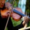 How To Play Violin - Ultimate Learning Guide