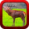 Red Deer Hunting Shooter