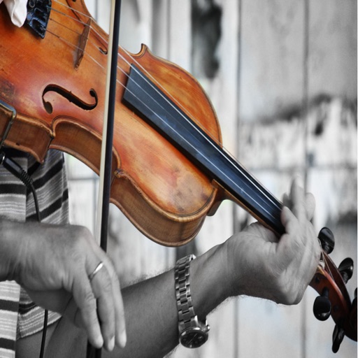 How To Play Violin Best Video Guide by Yashpal Padiya