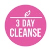 3 Day Cleanse - High Raw Food Meal Plan