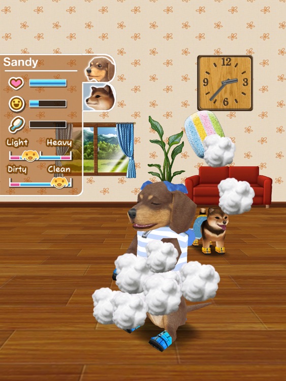 My Dog My Room HD Premium