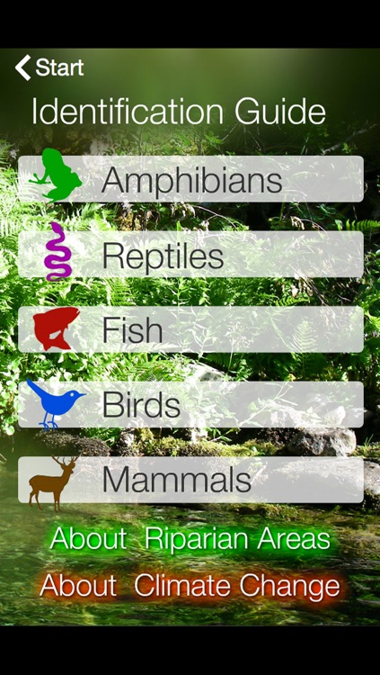 Animal Field Guide to the Flathead Reservation: Riparian Species