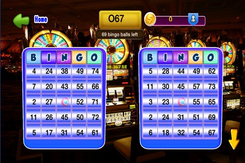 Las Vegas Bingo Game screenshot 4