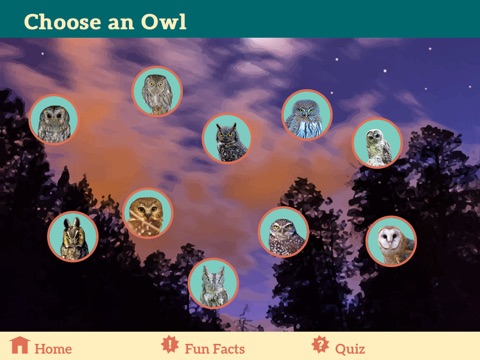 Owls & Bats of Los Alamos screenshot 2