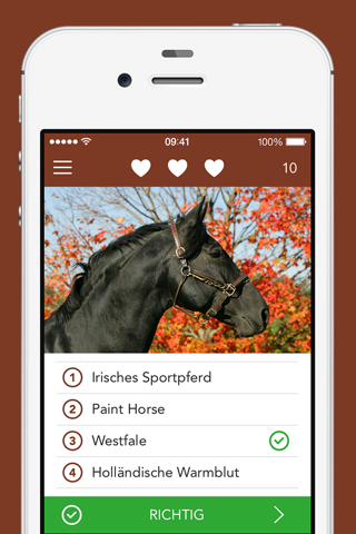 iKnow Horses 2 PRO - The Reference Work screenshot 4