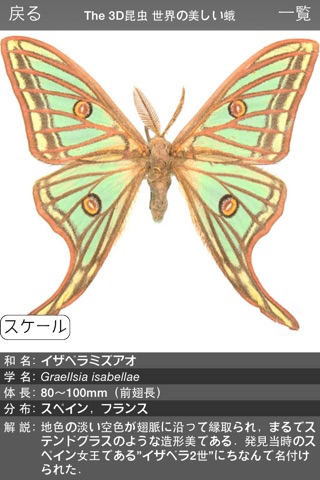 The 3D昆虫 III screenshot 3