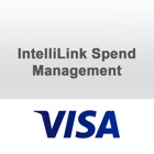 Visa IntelliLink Instrucción