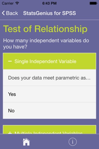 StatsGenius for SPSS 22 screenshot 2