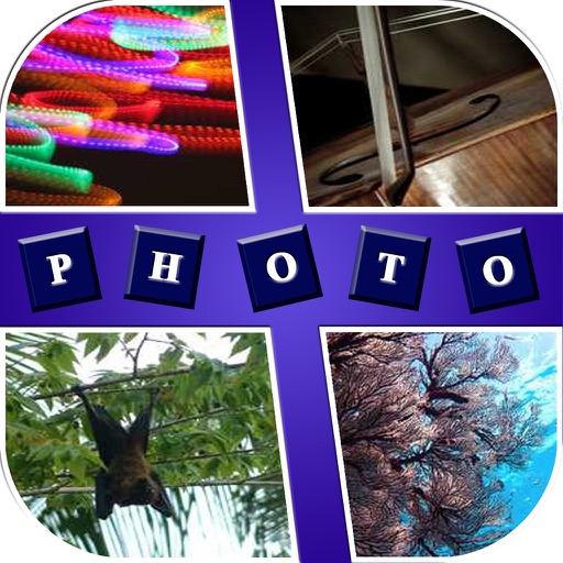 Photo & Word Quiz ~ Guess 1 Word Icon