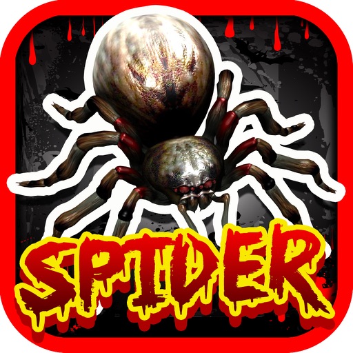 Spider of an Angry Killer in the Wildlife Casino Slots