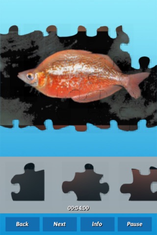 Fish Puzzles screenshot 3