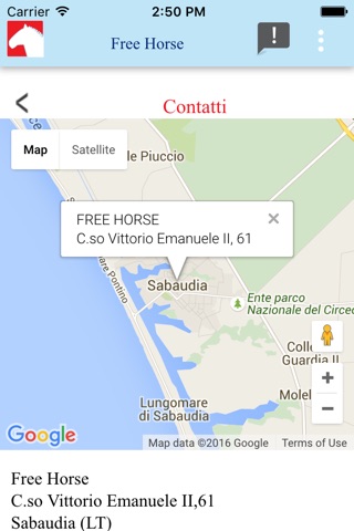 Free Horse screenshot 3