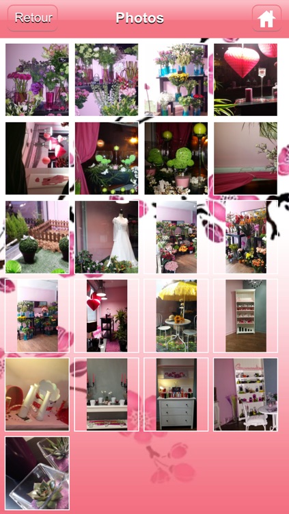 Le Temps d'une Fleur