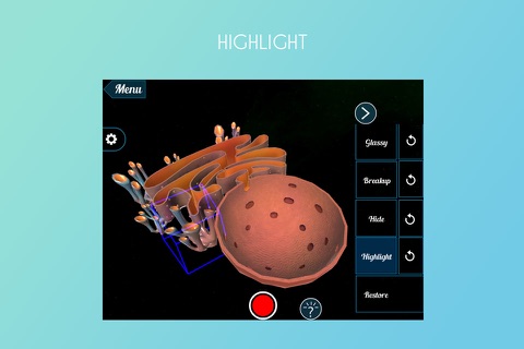 Endoplasmic Reticulum 3D screenshot 2