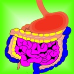 Digestive Disorders Facts on Food, Biology of Digestion  Nutrition System Anatomy Health Tips 1000