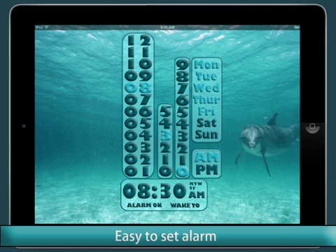 Dolphin Alarm Clock screenshot 4