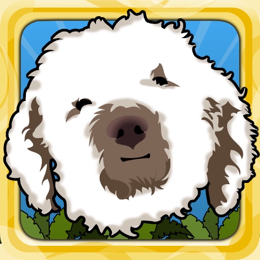 Happy Dog Jump - Golden Doodle Icon