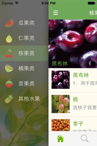 爱吃水果-吃货最全面的水果介绍，选购攻略和食用功效 screenshot 2