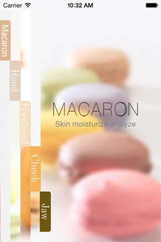 Macaron screenshot 2