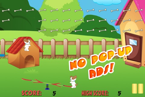 A Cute Puppy Bounce Game - Tasty Dog Treats Challenge XG screenshot 3