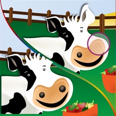 Activities of Animal differences: Try and find them!