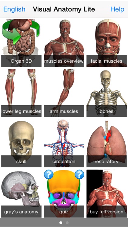 Visual Anatomy Lite