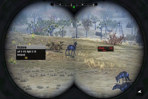 Sniper Hunting Seasons 3D screenshot 2