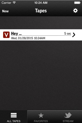 TinyVox Pro • voice memos for the win! screenshot 4