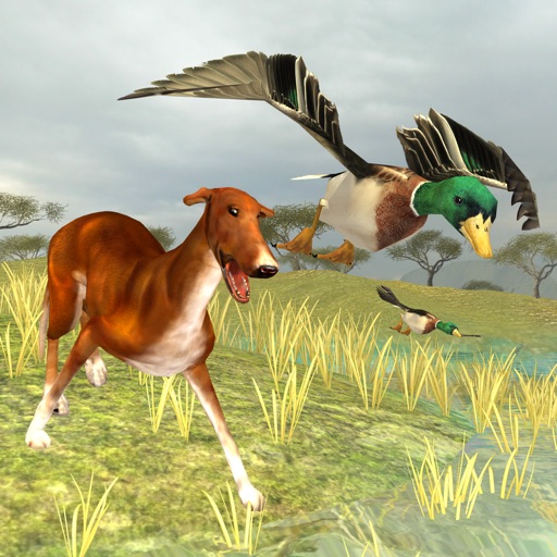 Bird Dog Chase Simulator iOS App