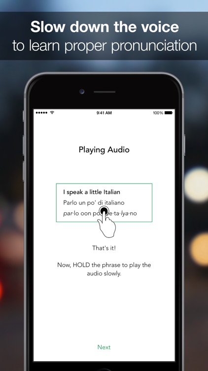 SpeakEasy Italian ~ Offline Phrasebook and Flashcards with Native Speaker Voice and Phonetics screenshot-3