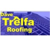 Dave Trelfa Roofing