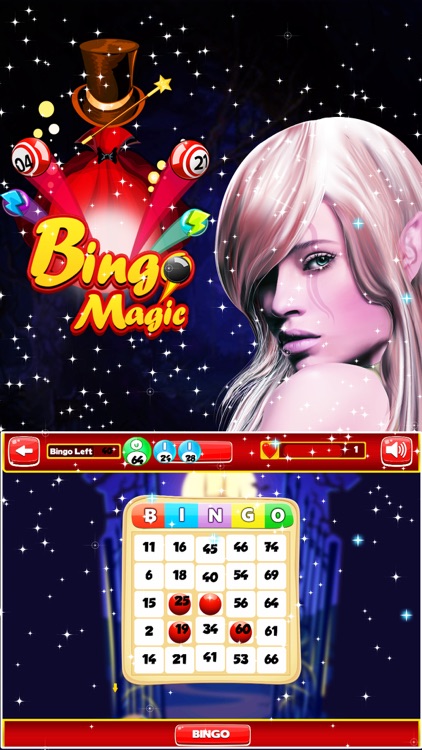 Bingo Favorite - Real Casino Bingo