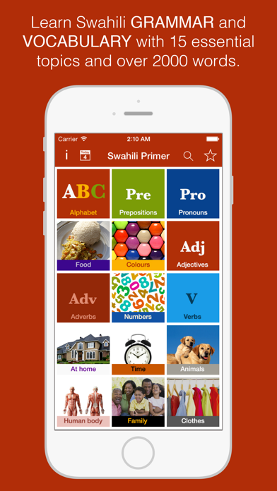 Basic Swahili Screenshot 1