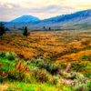 Yellowstone National Park wallpapers