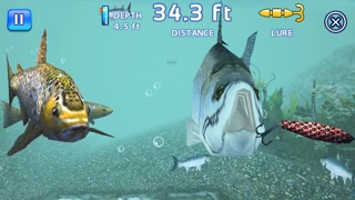 Fishing Kings Free+ Screenshot 3