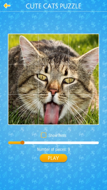 Cute Cats Jigsaw Puzzles screenshot-4