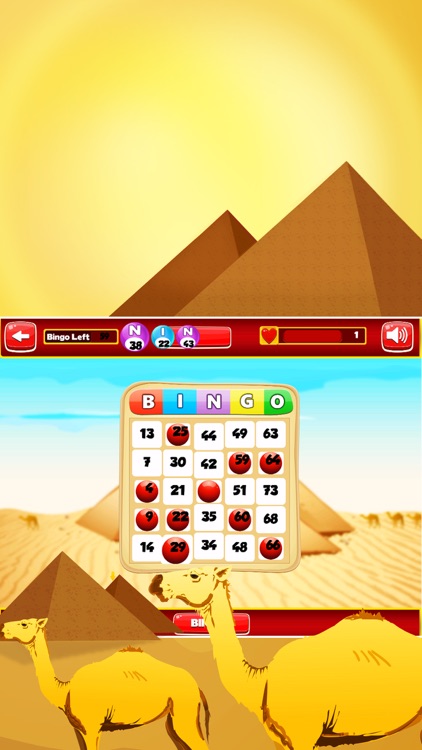 Bingo Big Win screenshot-3