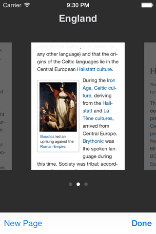 Wikibot 2 — A Wikipedia Articles Reader screenshot 4