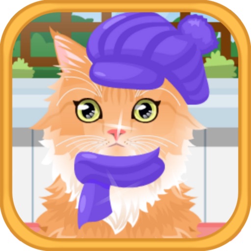 Groom That Kitty iOS App