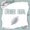 l'Herbier Digital