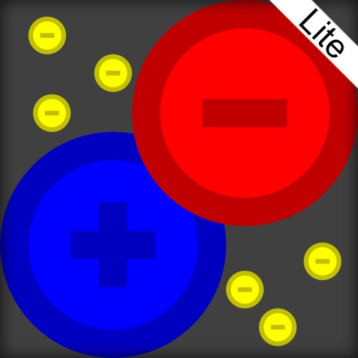 Fields & Forces Lite by Timothy Knaak