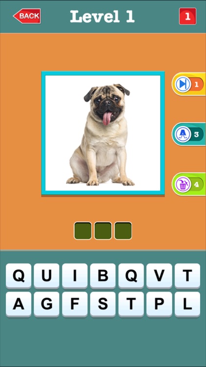 Dog Breeds Quiz For Animal Lovers - Guess Most Popular Small,Hound & Large Dogs Breed Names