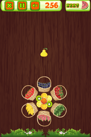 Fruit Garden Game screenshot 4