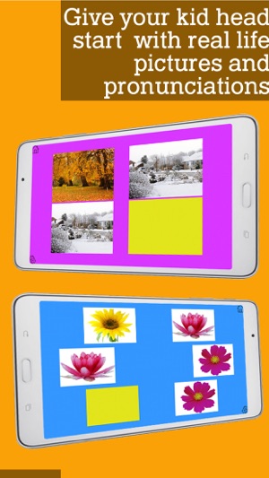 Montessori Flowers and Seasons(圖3)-速報App