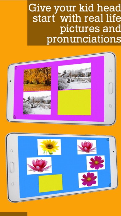 How to cancel & delete Montessori Flowers and Seasons from iphone & ipad 3